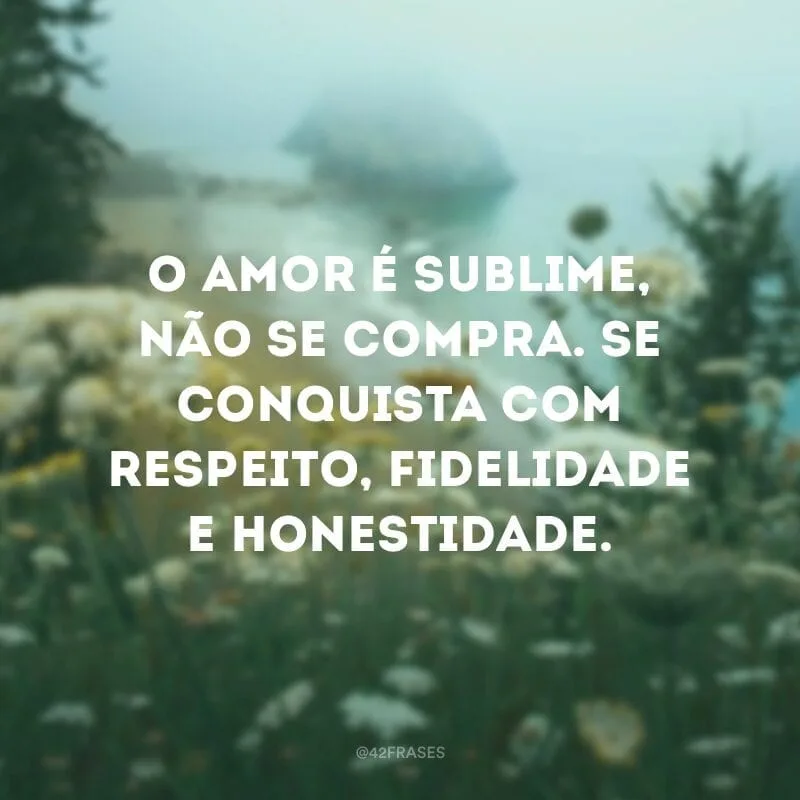O amor é sublime, não se compra. Se conquista com respeito, fidelidade e honestidade.