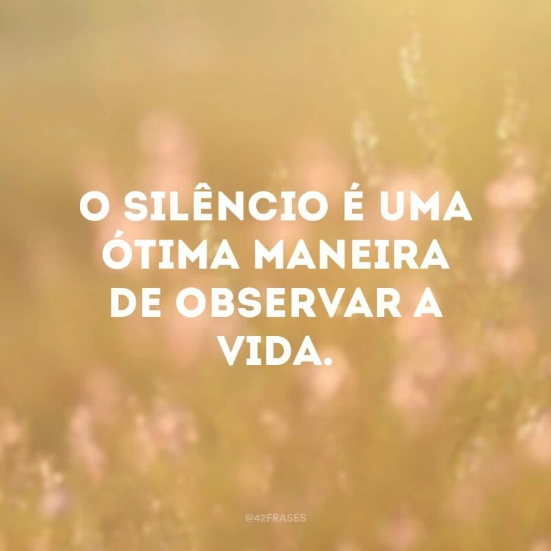 O silêncio é uma ótima maneira de observar a vida.