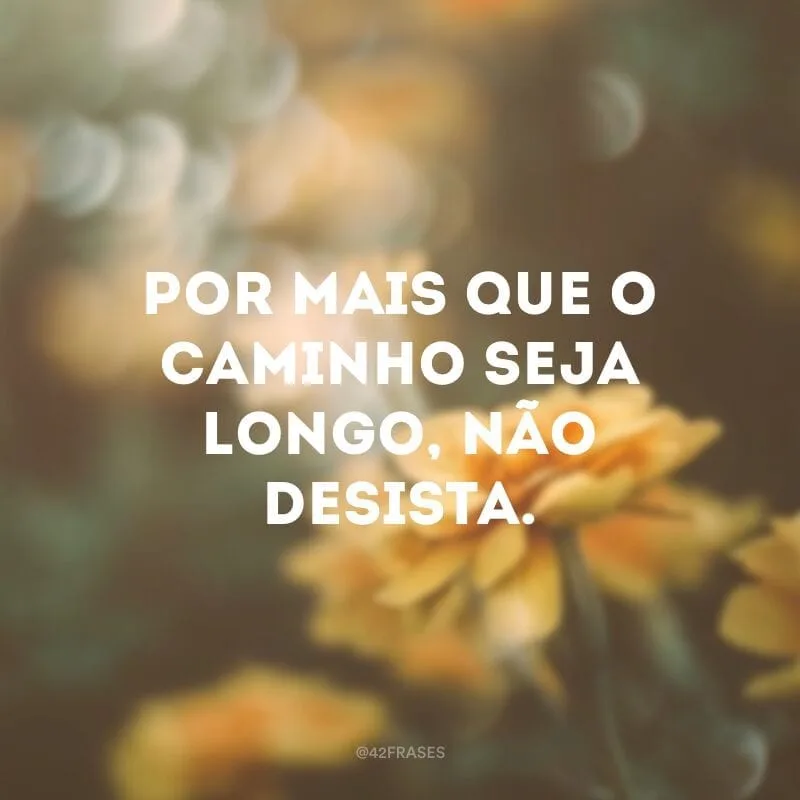 Por mais que o caminho seja longo, não desista.