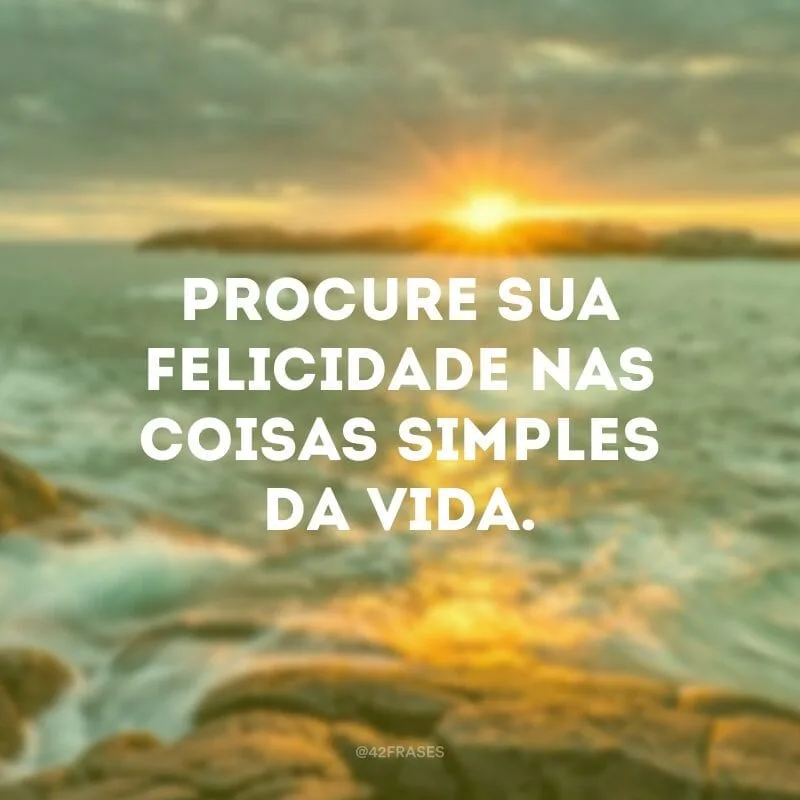 Procure sua felicidade nas coisas simples da vida.