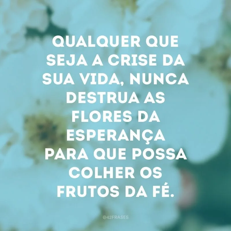 Qualquer que seja a crise da sua vida, nunca destrua as flores da esperança para que possa colher os frutos da fé.