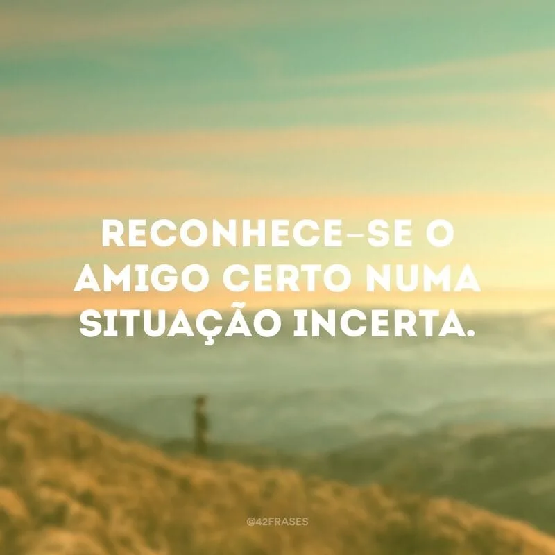 Reconhece-se o amigo certo numa situação incerta.