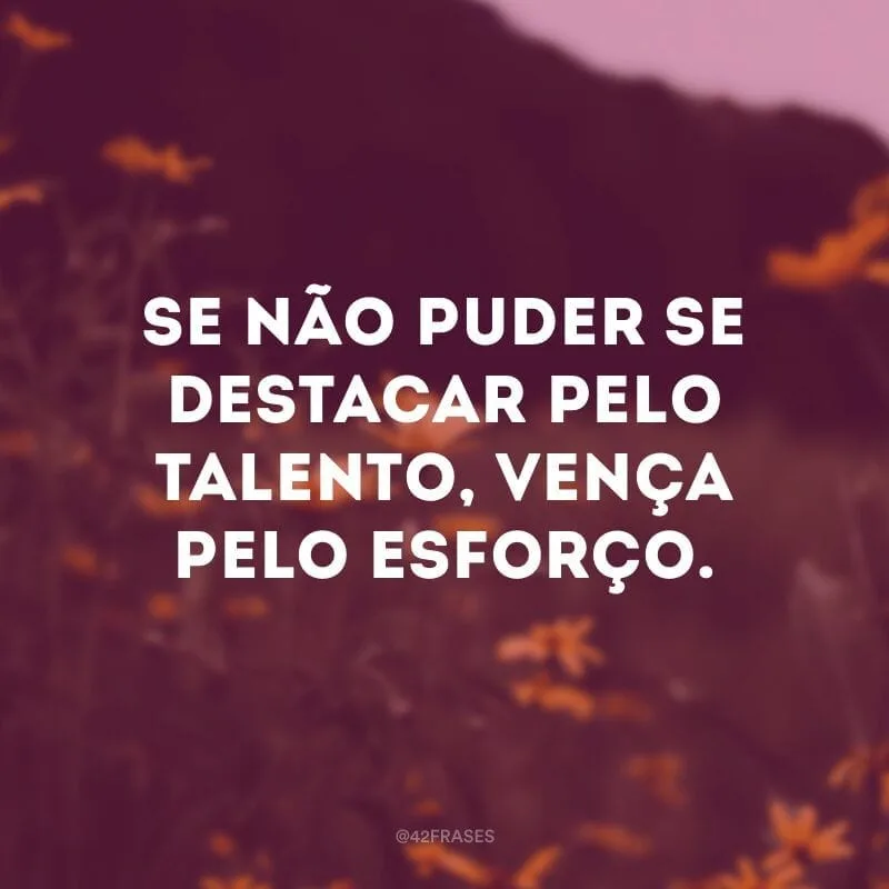 Se não puder se destacar pelo talento, vença pelo esforço.