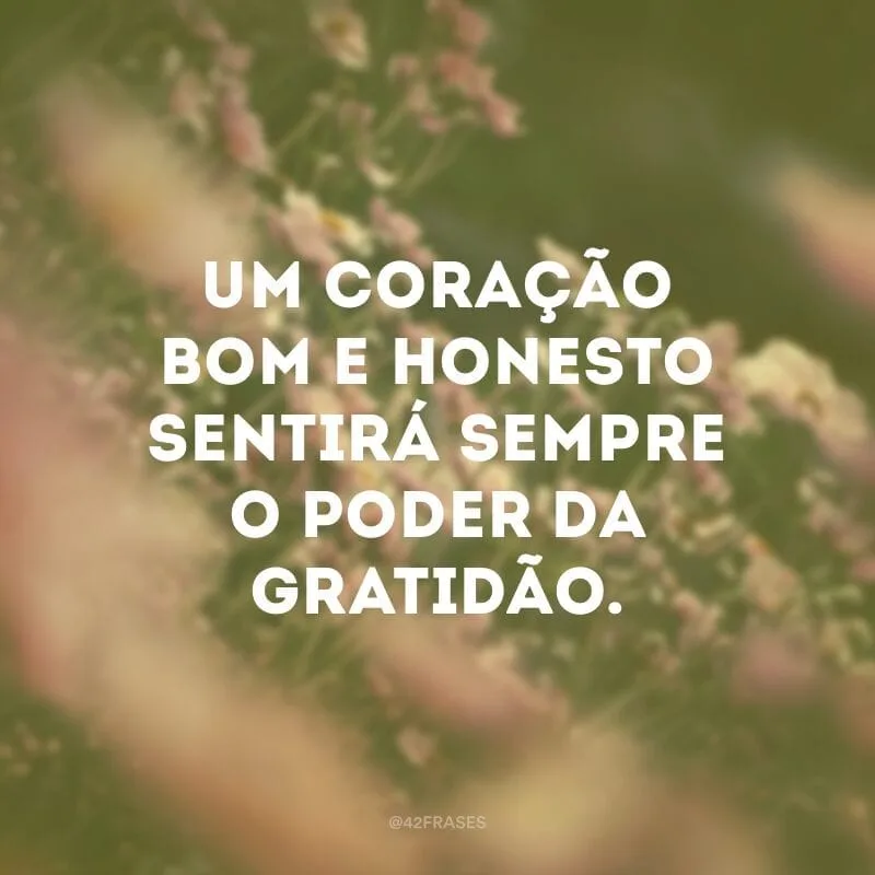 Um coração bom e honesto sentirá sempre o poder da gratidão.