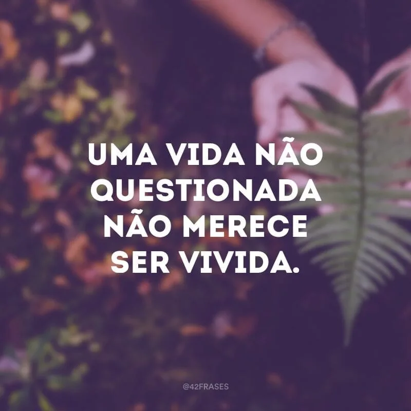 Uma vida não questionada não merece ser vivida.
