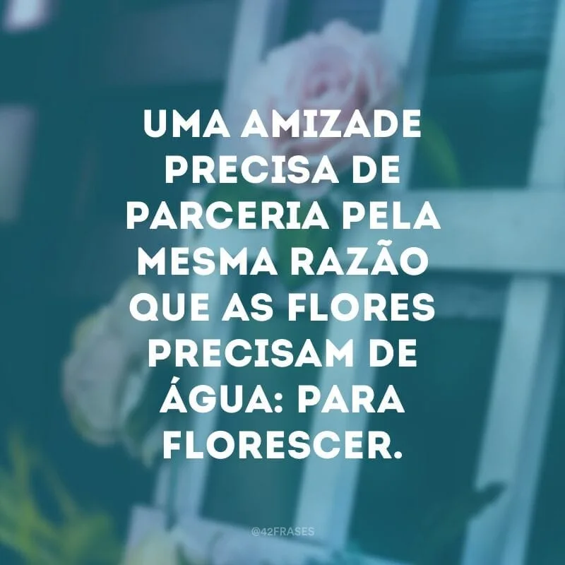 Uma amizade precisa de parceria pela mesma razão que as flores precisam de água: para florescer.