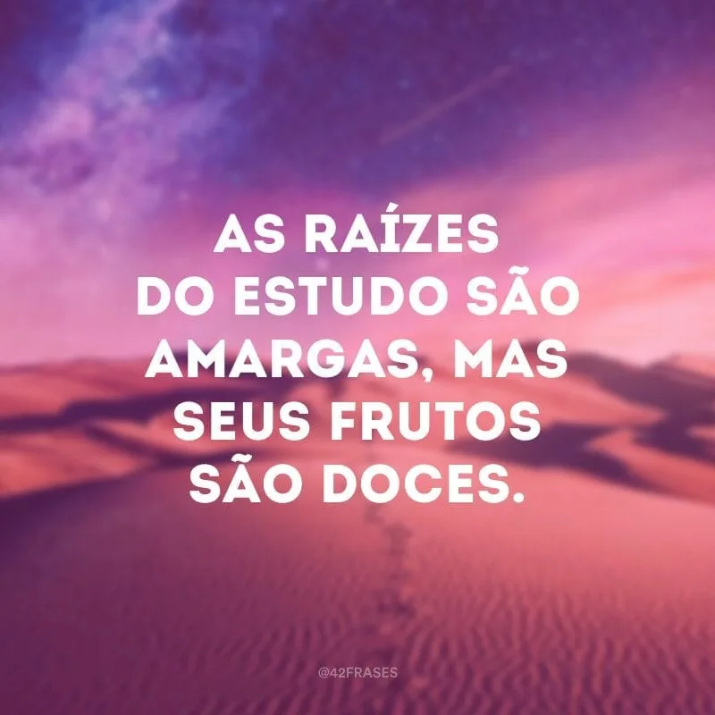 As raízes do estudo são amargas, mas seus frutos são doces.