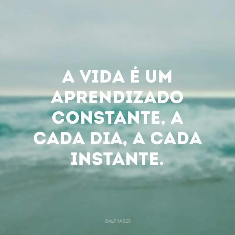 A vida é um aprendizado constante, a cada dia, a cada instante.