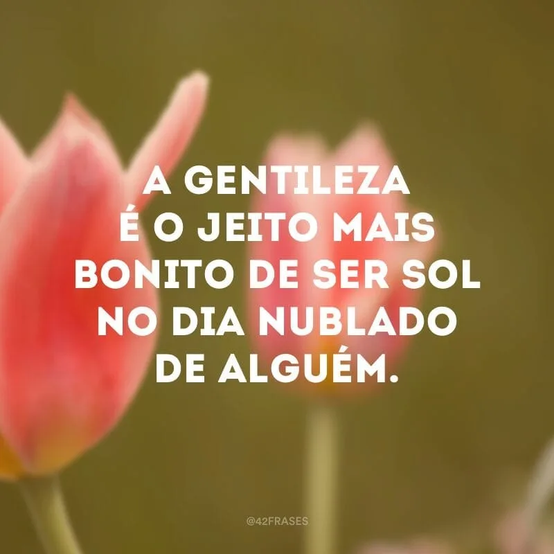 A gentileza é o jeito mais bonito de ser sol no dia nublado de alguém.