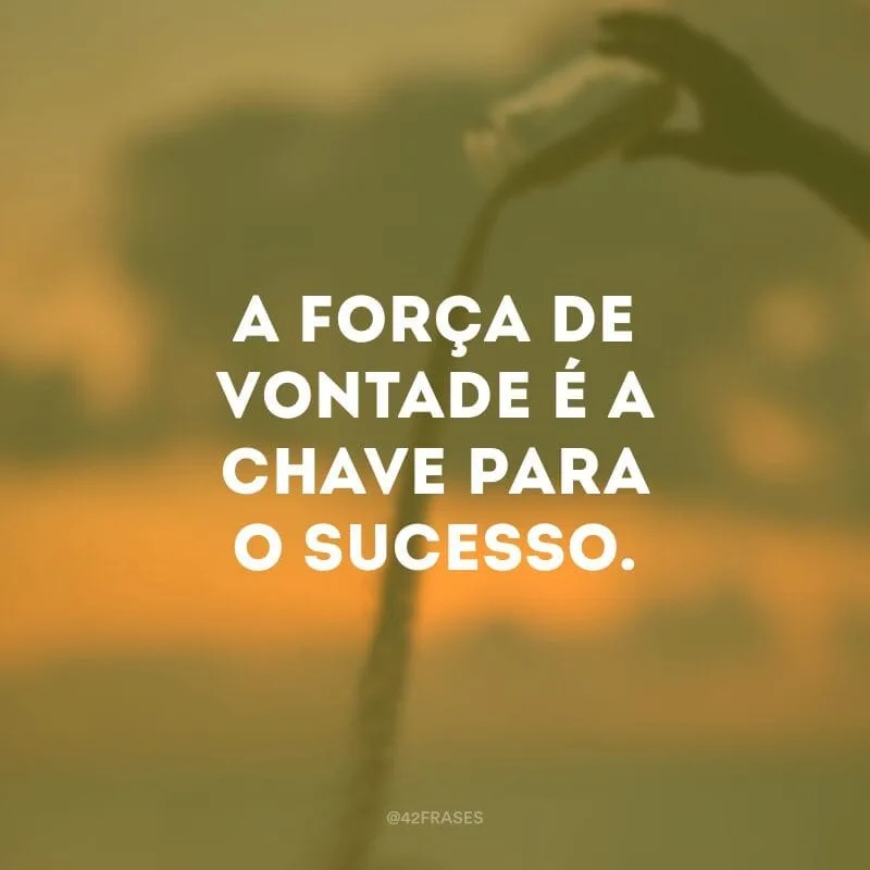A força de vontade é a chave para o sucesso.
