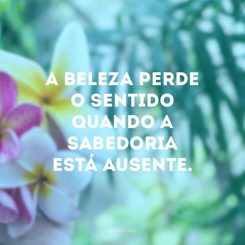 A beleza perde o sentido quando a sabedoria está ausente.