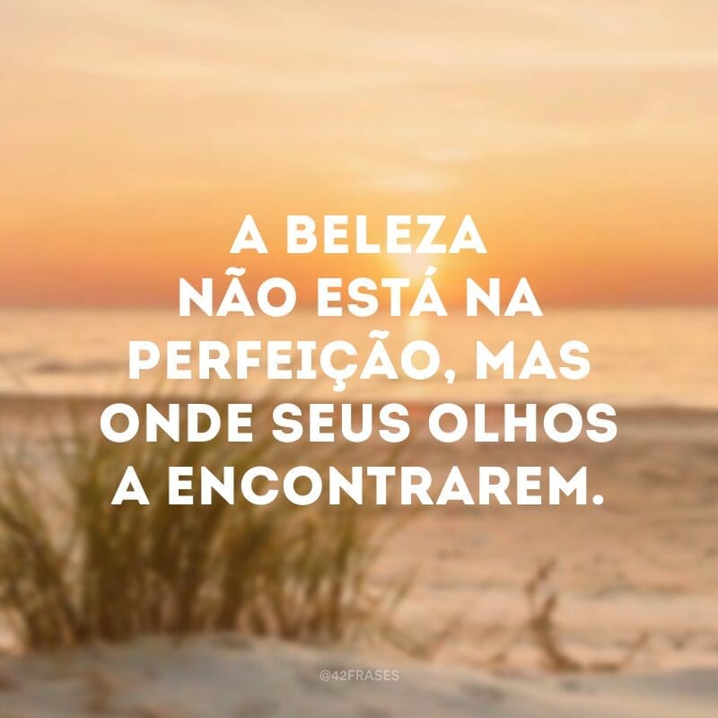 A beleza não está na perfeição, mas onde seus olhos a encontrarem.