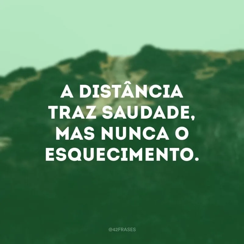 A distância traz saudade, mas nunca o esquecimento.