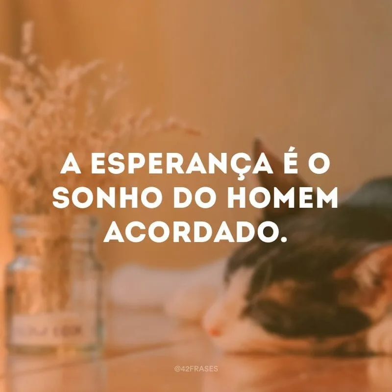 A esperança é o sonho do homem acordado.