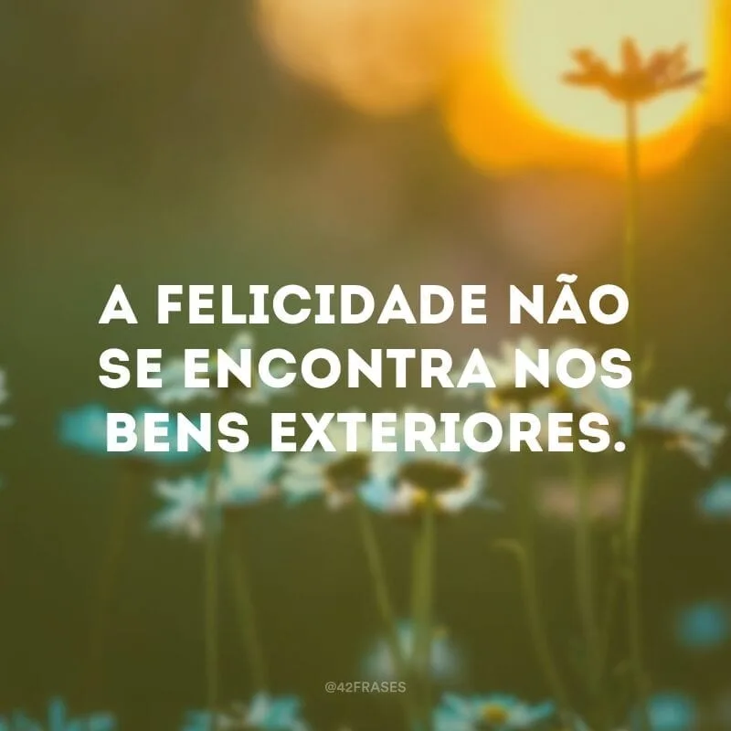 A felicidade não se encontra nos bens exteriores.