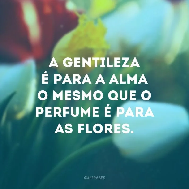 A gentileza é para a alma o mesmo que o perfume é para as flores.