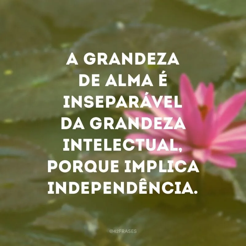 A grandeza de alma é inseparável da grandeza intelectual, porque implica independência.