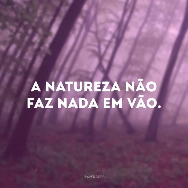A natureza não faz nada em vão.