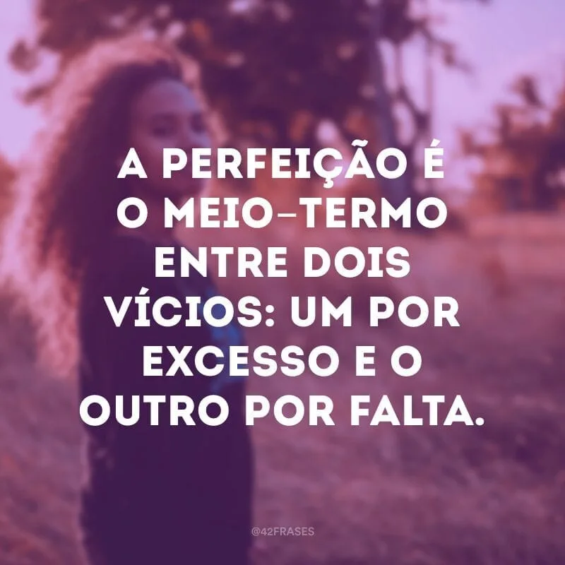A perfeição é o meio-termo entre dois vícios: um por excesso e o outro por falta.