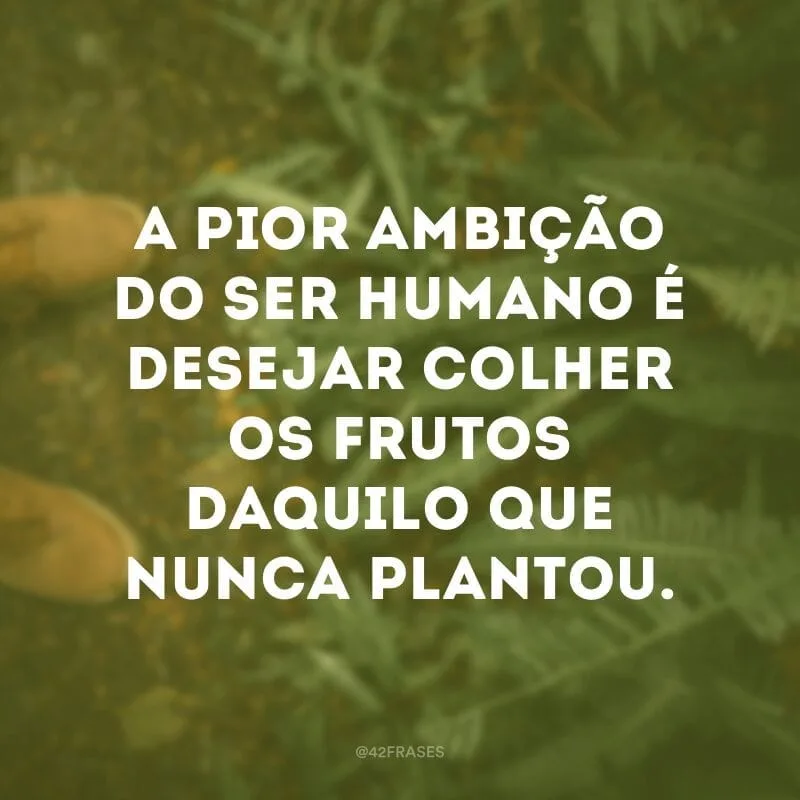 A pior ambição do ser humano é desejar colher os frutos daquilo que nunca plantou.