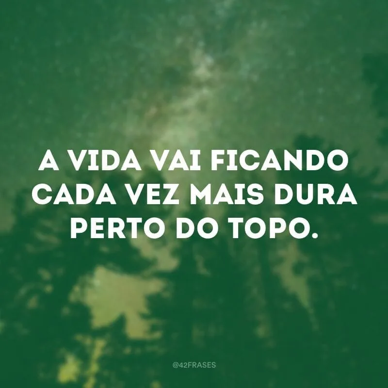 A vida vai ficando cada vez mais dura perto do topo.