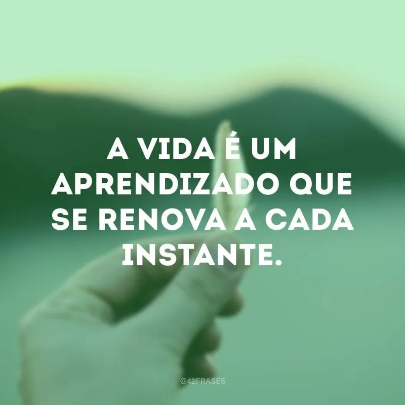 A vida é um aprendizado que se renova a cada instante.