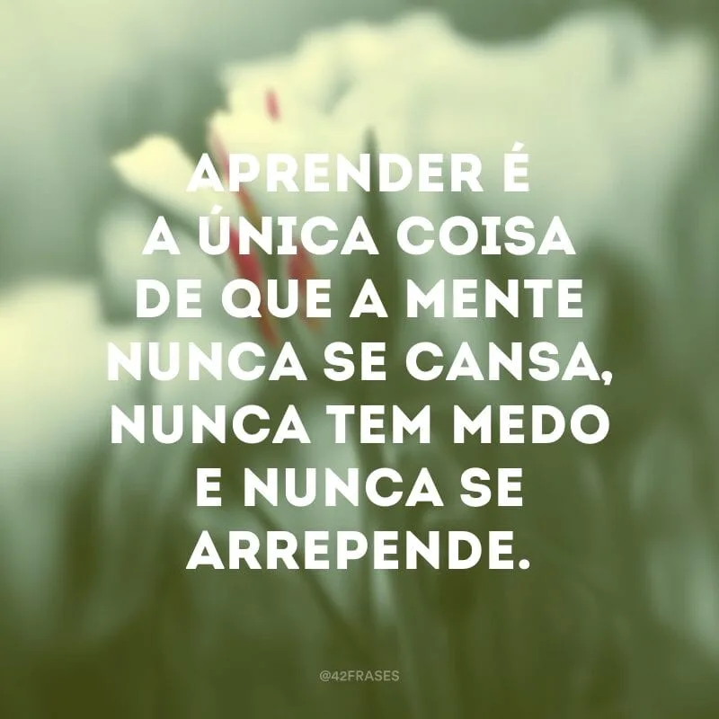 Aprender é a única coisa de que a mente nunca se cansa, nunca tem medo e nunca se arrepende.