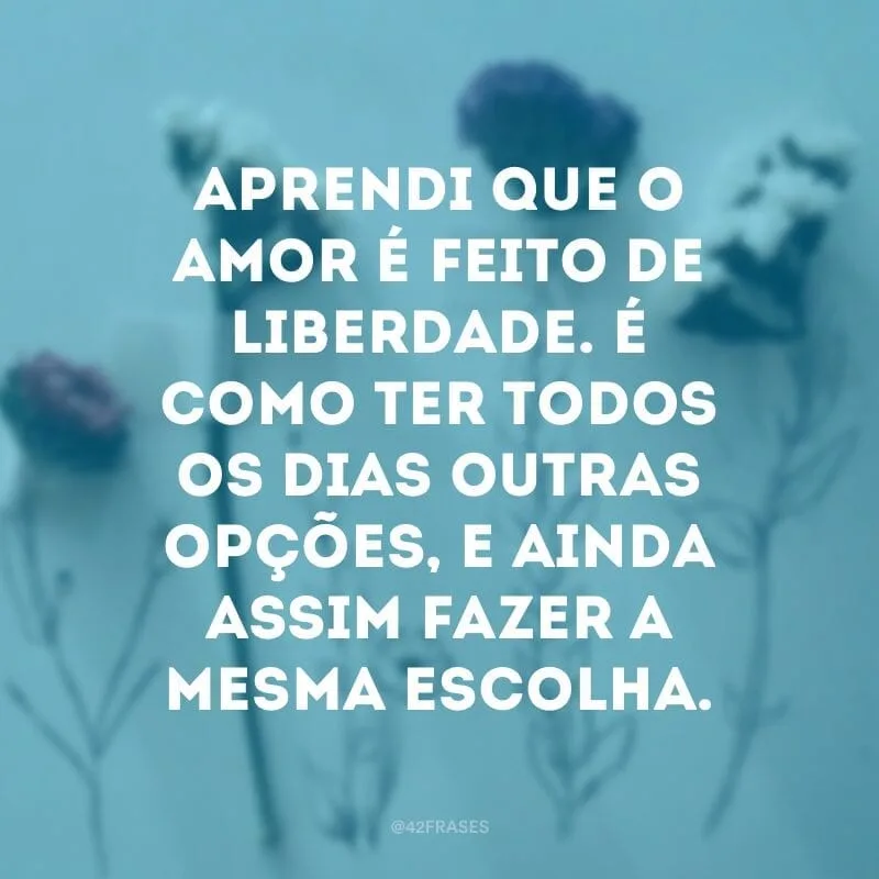 Aprendi que o amor é feito de liberdade. É como ter todos os dias outras opções, e ainda assim fazer a mesma escolha.