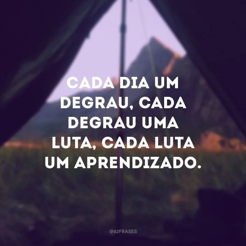 Cada dia um degrau, cada degrau uma luta, cada luta um aprendizado.