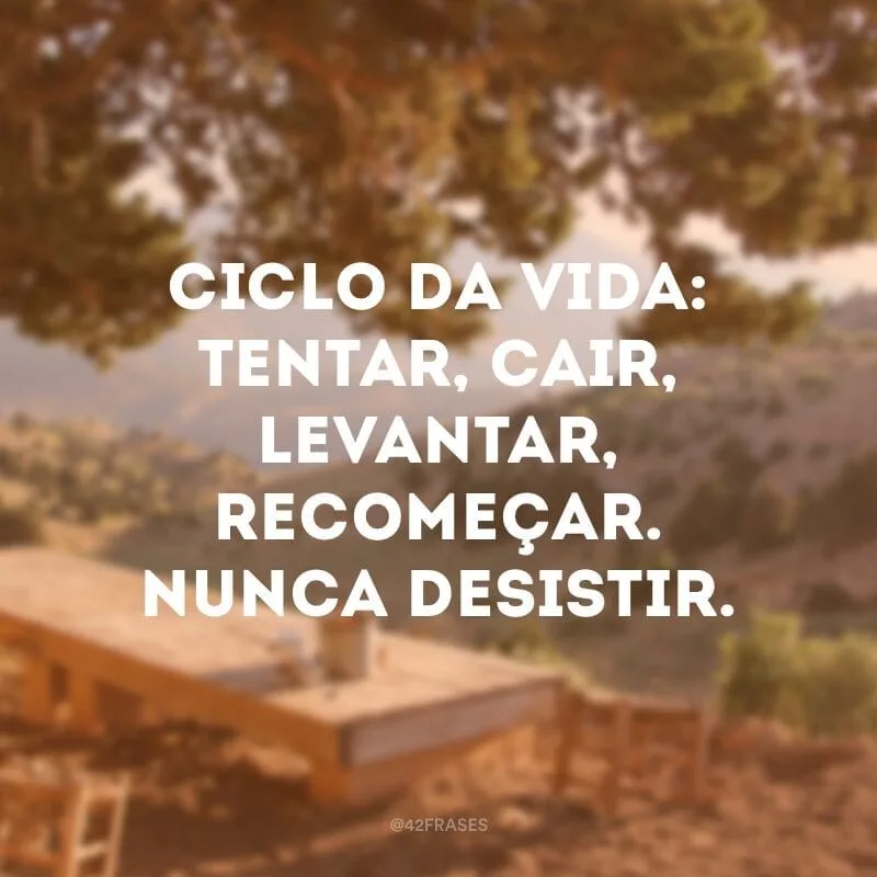 Ciclo da vida: tentar, cair, levantar, recomeçar. Nunca desistir.