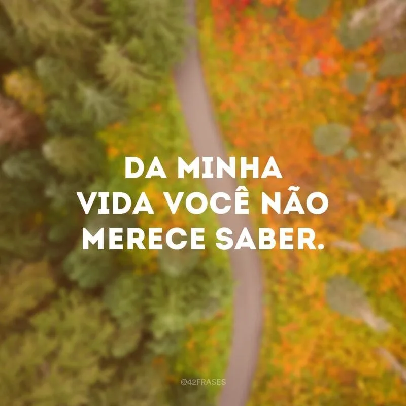 Da minha vida você não merece saber.