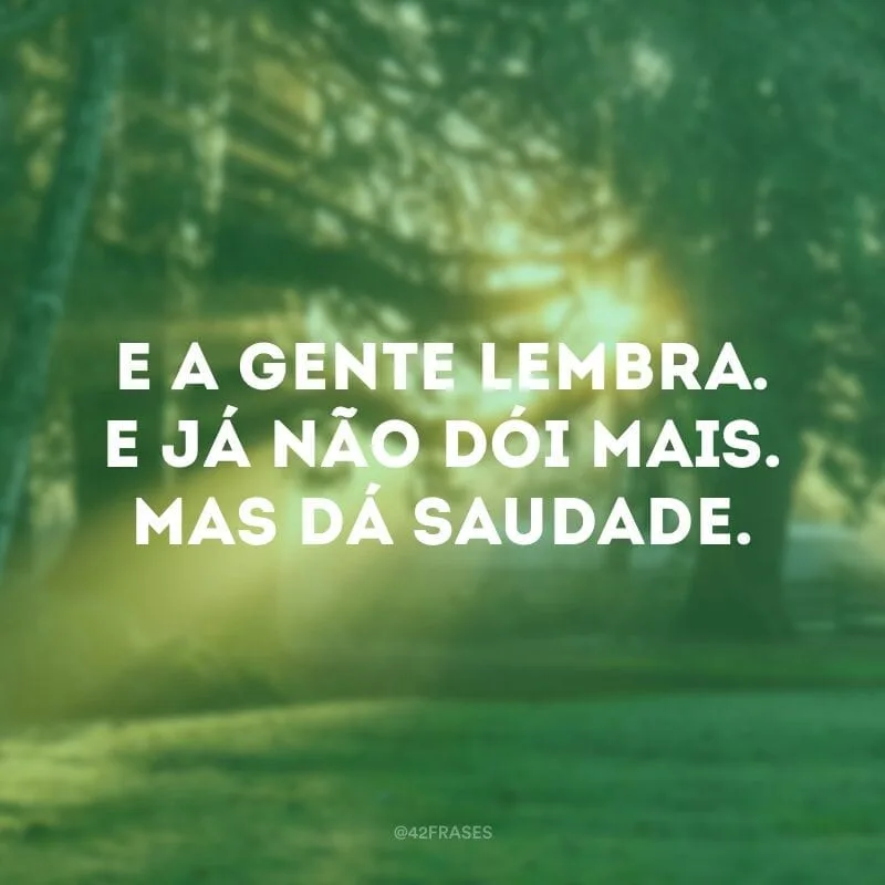E a gente lembra. E já não dói mais. Mas dá saudade.