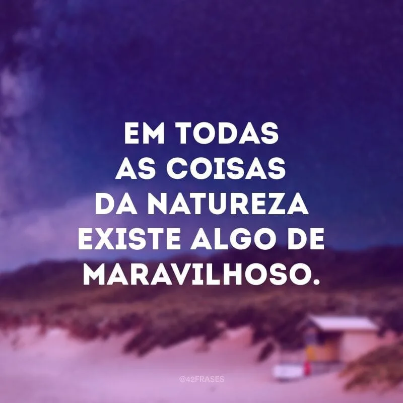 Em todas as coisas da natureza existe algo de maravilhoso.