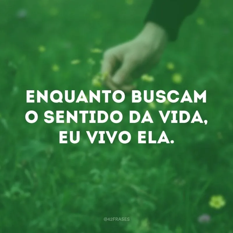 Enquanto buscam o sentido da vida, eu vivo ela.