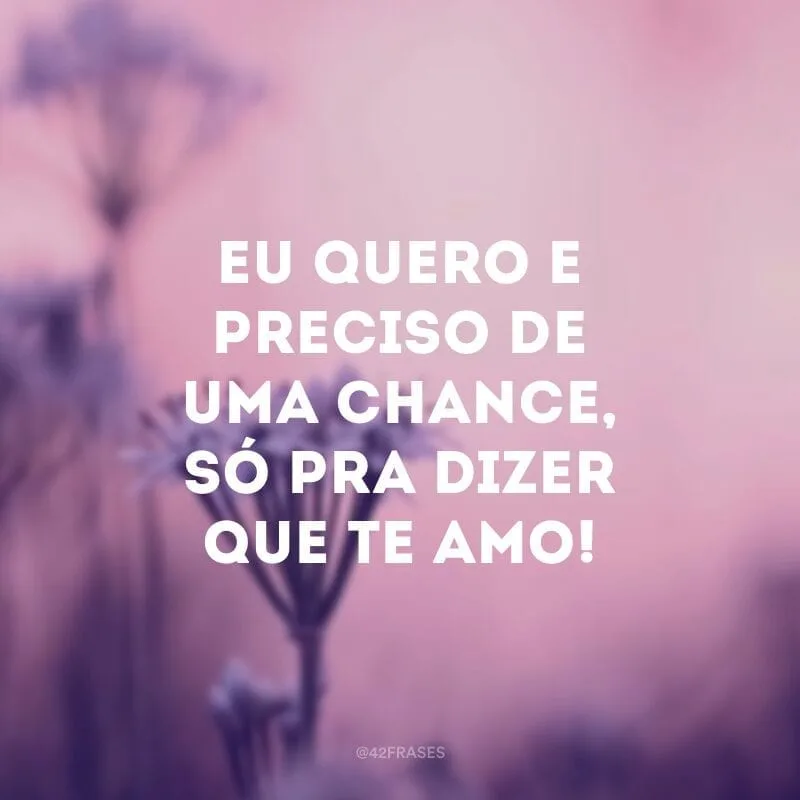 Eu quero e preciso de uma chance, só pra dizer que te amo!
