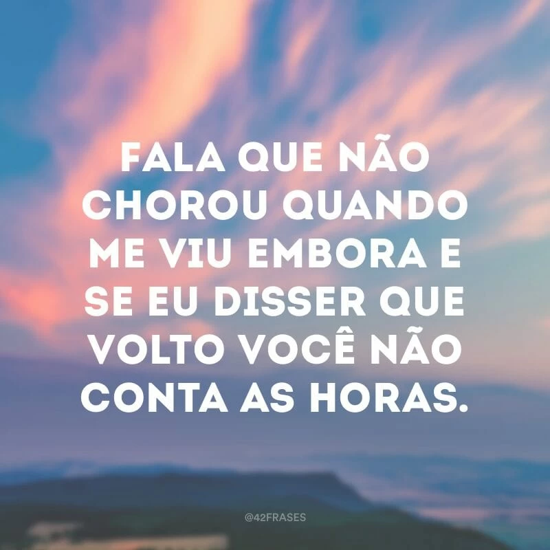 Fala que não chorou quando me viu embora e se eu disser que volto você não conta as horas.