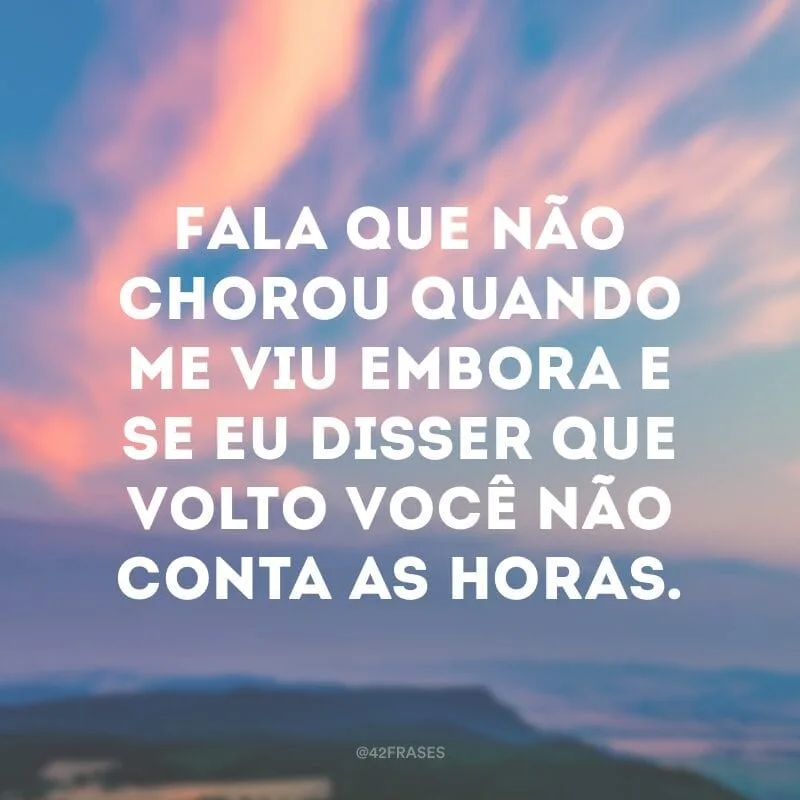 Fala que não chorou quando me viu embora e se eu disser que volto você não conta as horas.