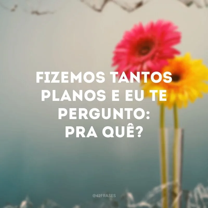 Fizemos tantos planos e eu te pergunto: pra quê?