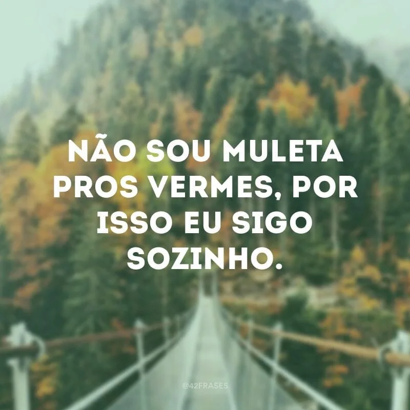 Não sou muleta pros vermes, por isso eu sigo sozinho.
