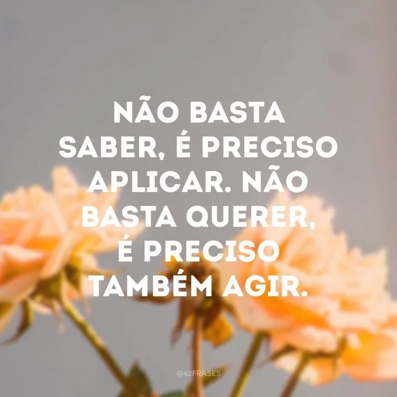 Não basta saber, é preciso aplicar. Não basta querer, é preciso também agir.
