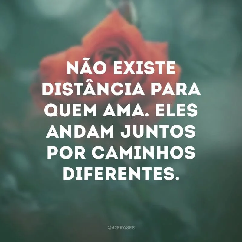Não existe distância para quem ama. Eles andam juntos por caminhos diferentes.