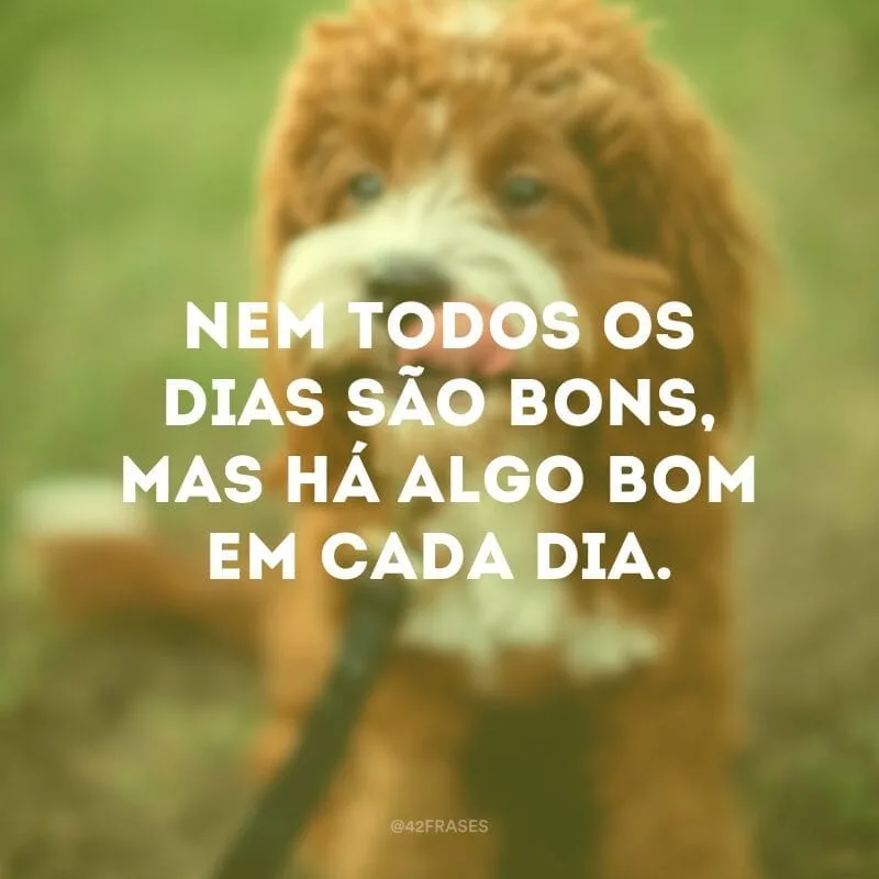 Nem todos os dias são bons, mas há algo bom em cada dia.