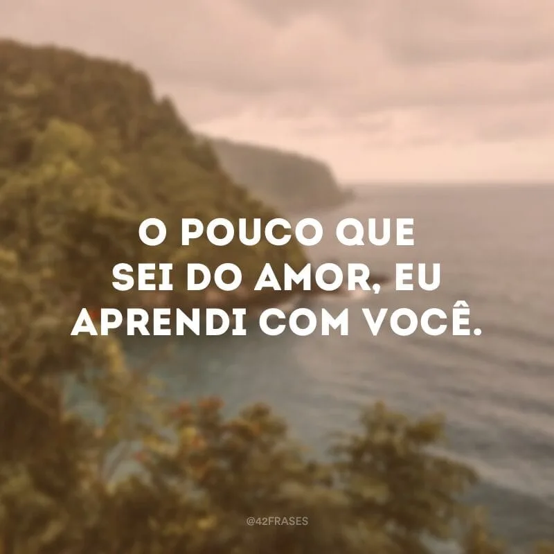 O pouco que sei do amor, eu aprendi com você.