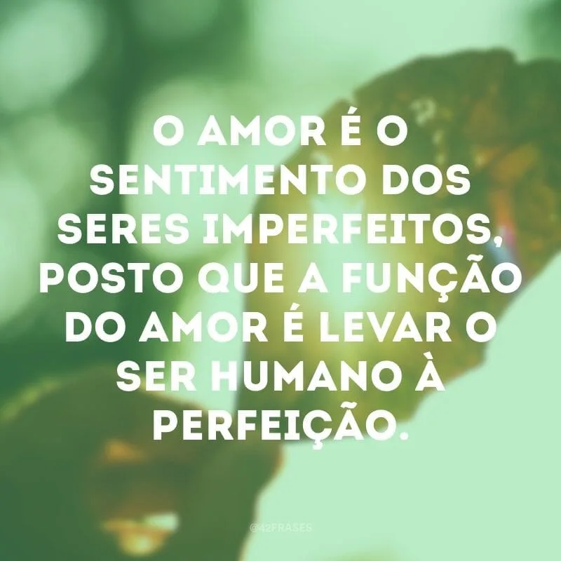 O amor é o sentimento dos seres imperfeitos, posto que a função do amor é levar o ser humano à perfeição.