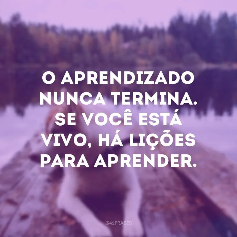 O aprendizado nunca termina. Se você está vivo, há lições para aprender.