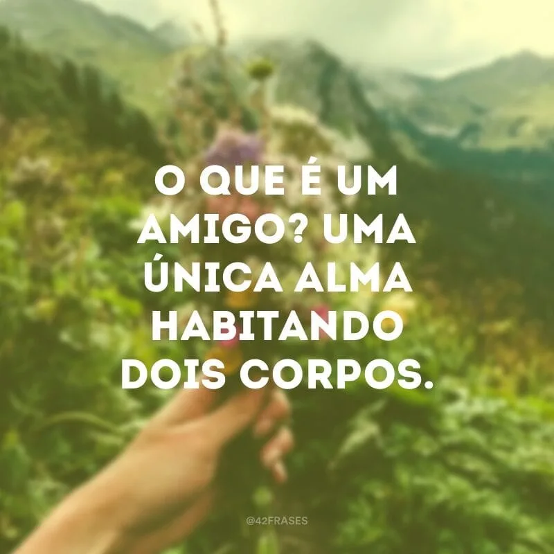 O que é um amigo? Uma única alma habitando dois corpos.