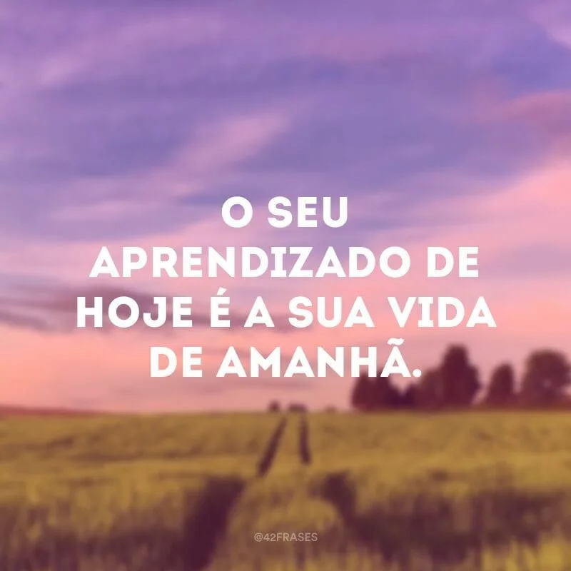 O seu aprendizado de hoje é a sua vida de amanhã.