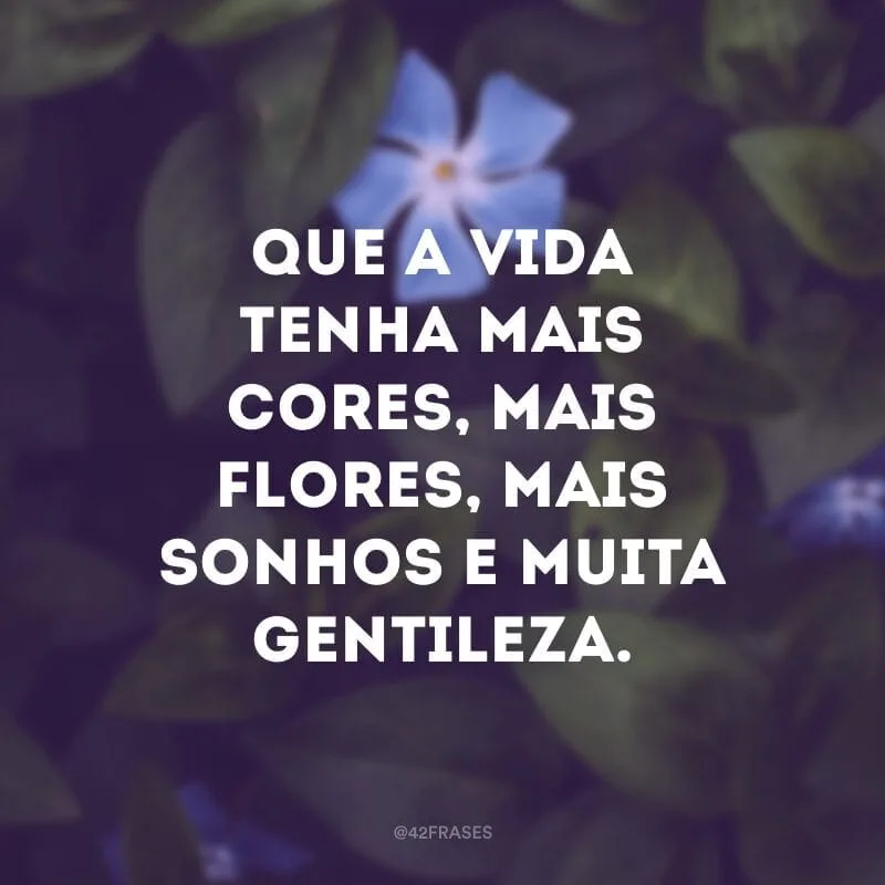 Que a vida tenha mais cores, mais flores, mais sonhos e muita gentileza.