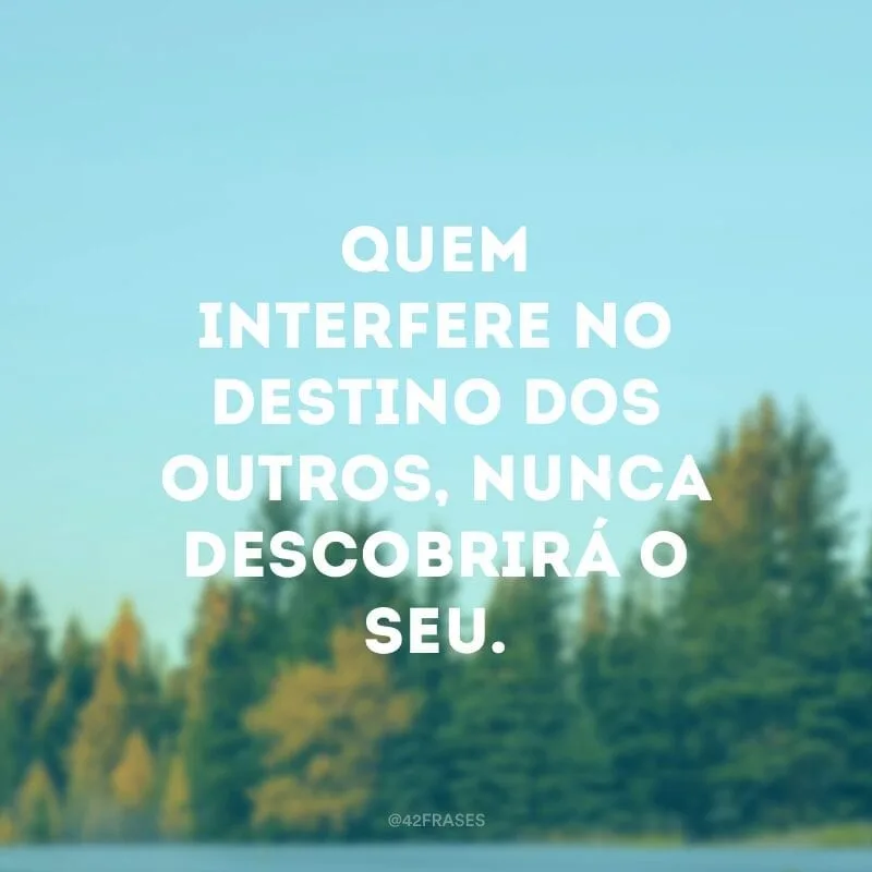 Quem interfere no destino dos outros, nunca descobrirá o seu. 