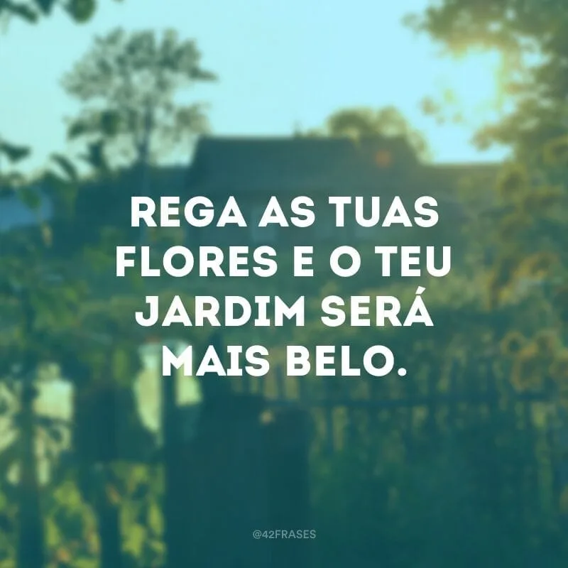 Rega as tuas flores e o teu jardim será mais belo.